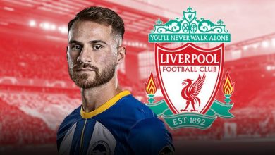 أليكسيس ماك أليستر - ليفربول - برايتون
